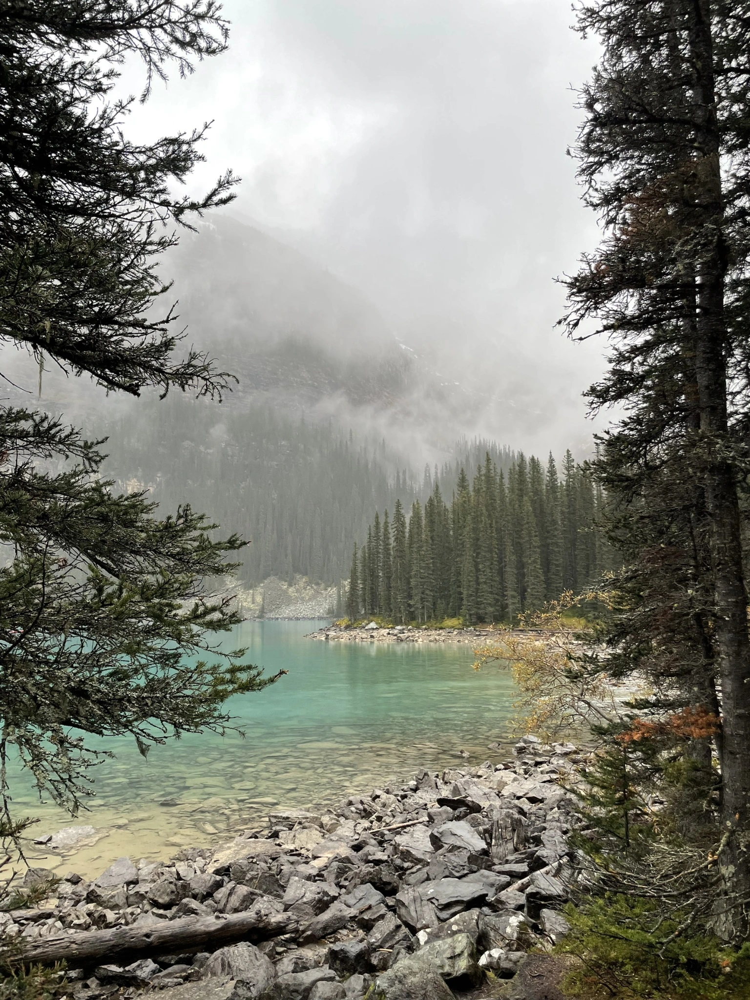從林間看向湖岸,霧裡的遠山逐漸退後。