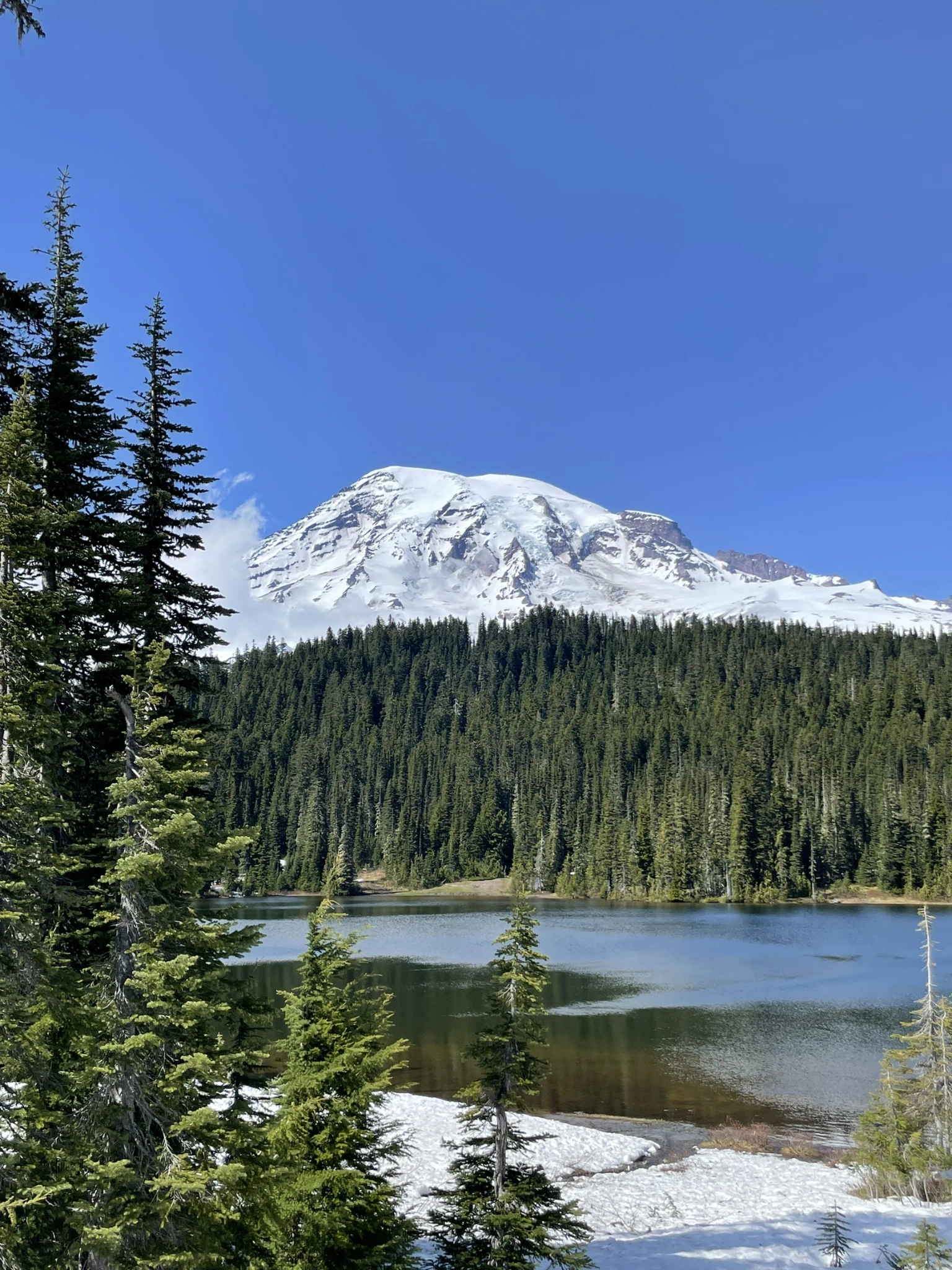 雷尼爾山、林線與湖岸。